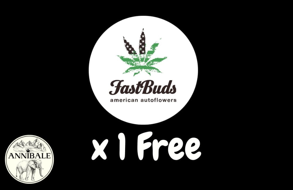 420 Fastbuds Free Seeds 2023