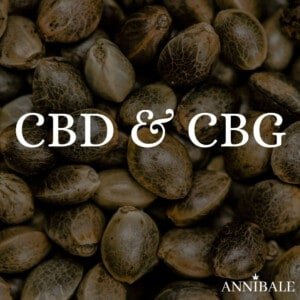 CBD & CBG Cannabis Seeds