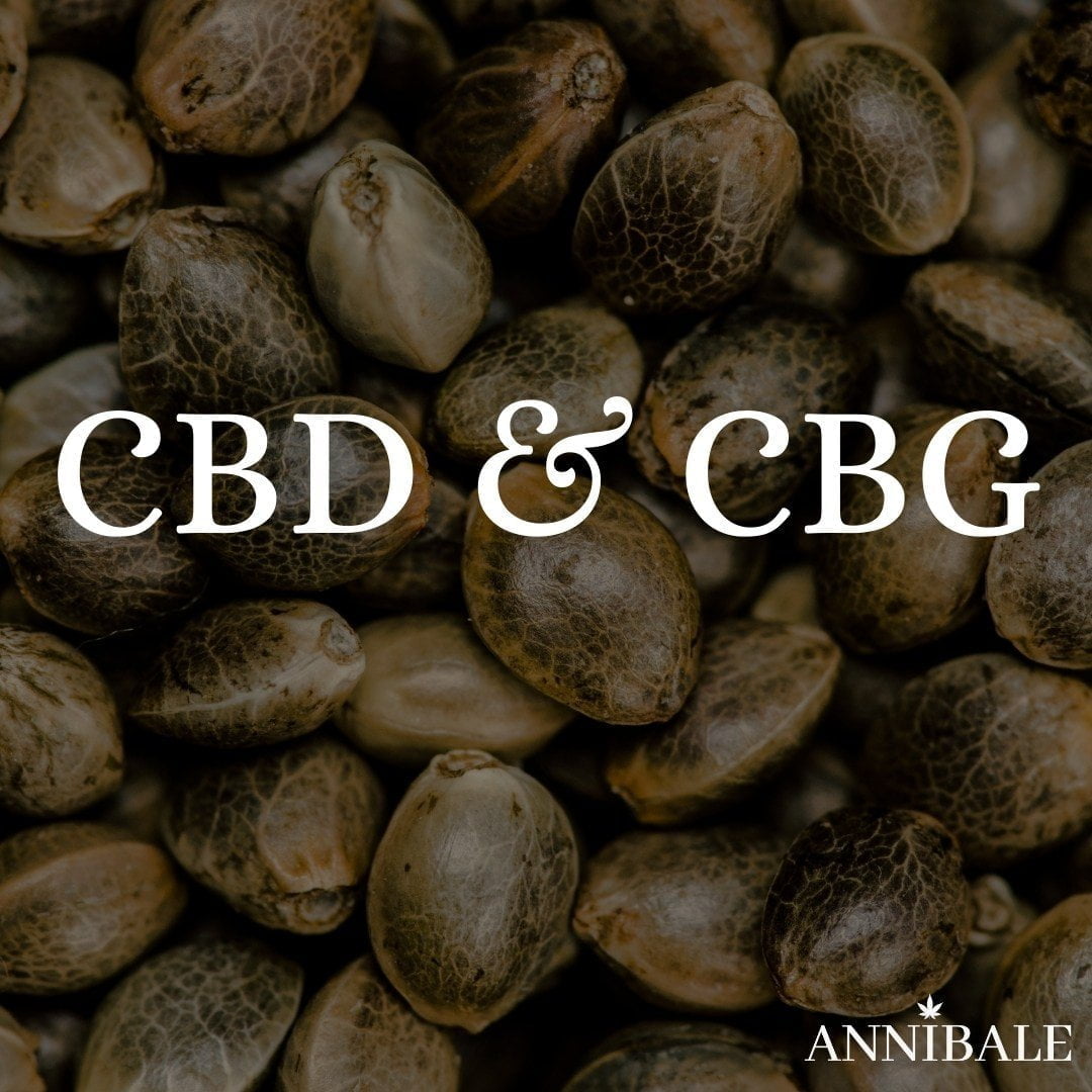 CBD & CBG Cannabis Seeds