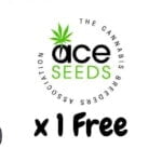 Ace Seed Free Seeds 2023