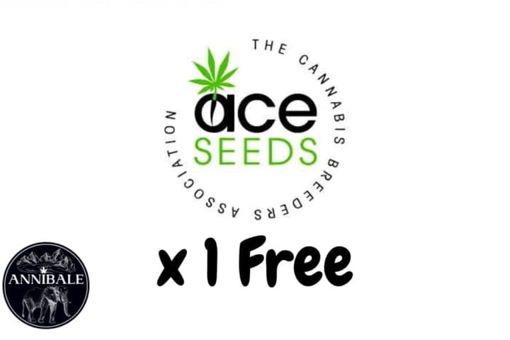 Ace Seed Free Seeds 2023