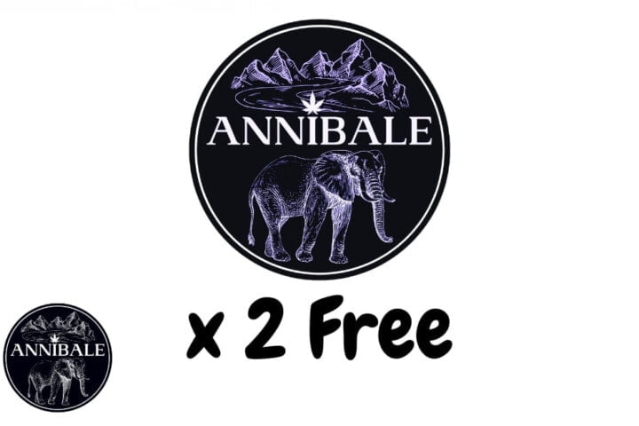 Annibale Genetics Free Seeds 2023