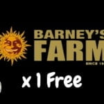 Barneys Farm Free Seeds 2023