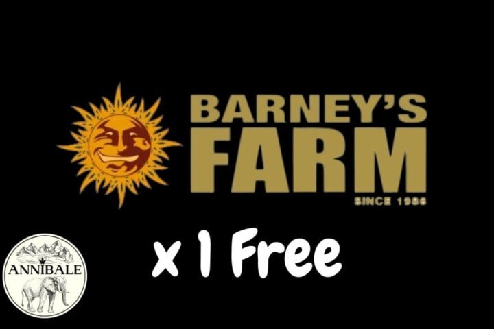 Barneys Farm Free Seeds 2023