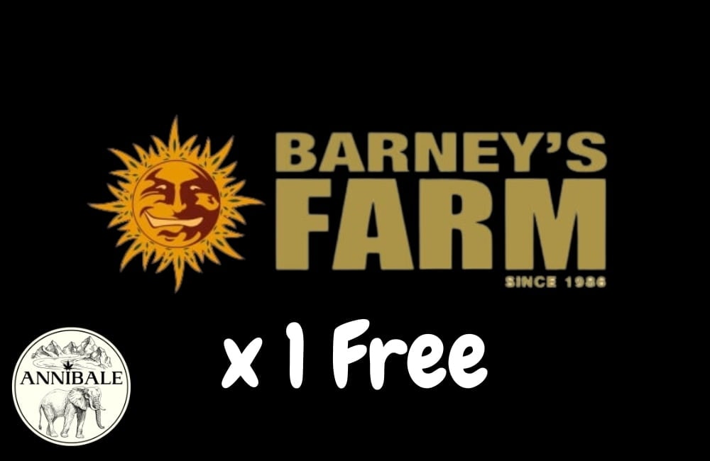 Barneys Farm Free Seeds 2023