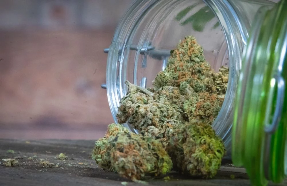 Cannabis Curing: How to Cure Perfect Marijuana Buds