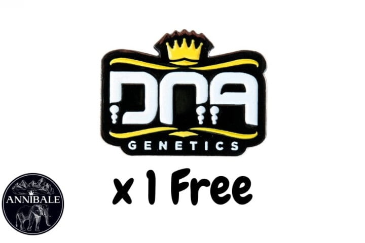 Dna Genetics Free Seeds 2023