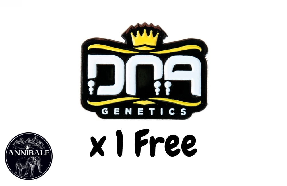 Dna Genetics Free Seeds 2023