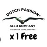 Dutch Passion Free Seeds 2023