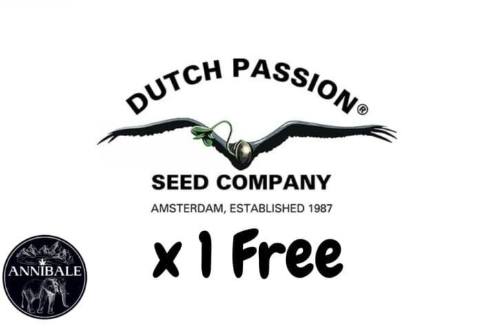 Dutch Passion Free Seeds 2023
