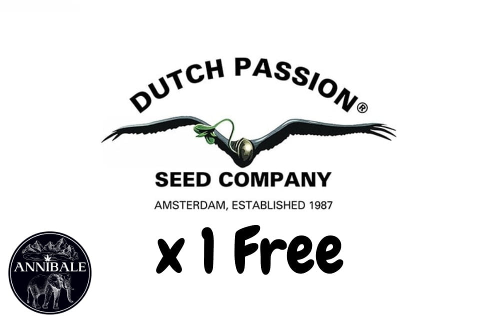 Dutch Passion Free Seeds 2023