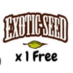 Exotic Seed Free Seeds 2023