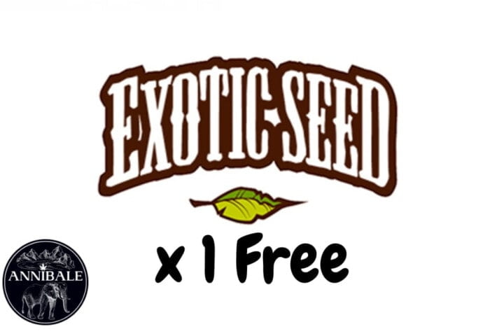 Exotic Seed Free Seeds 2023