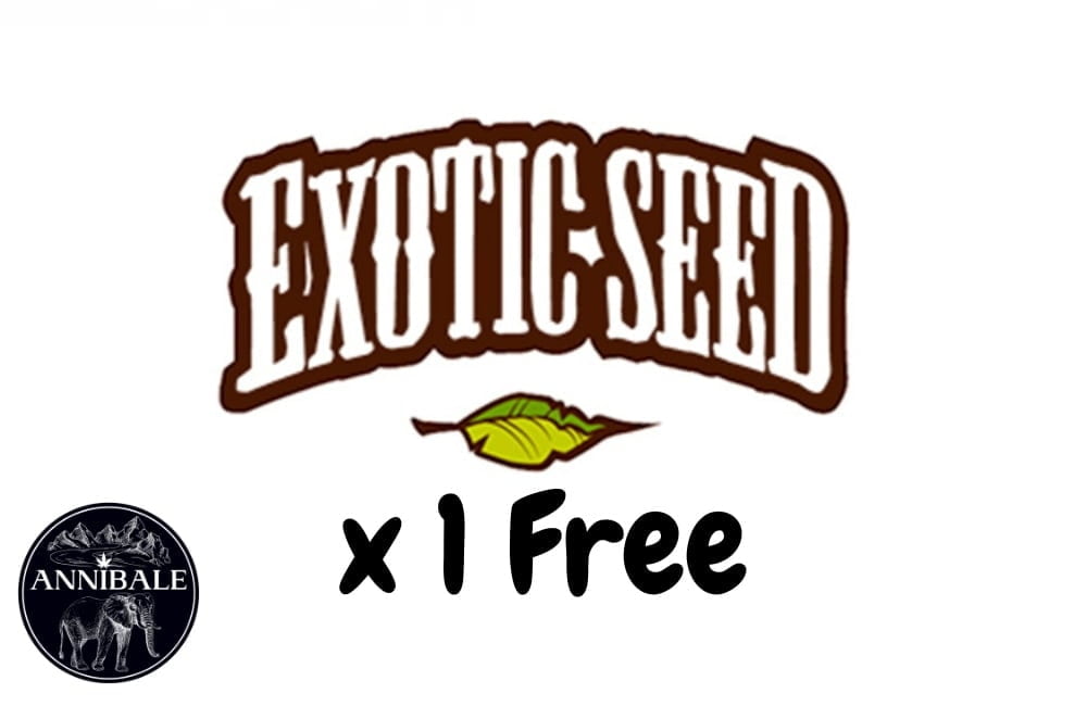 Exotic Seed Free Seeds 2023