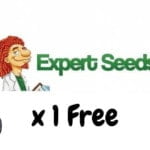 Expert Seeds Free Seeds 2023