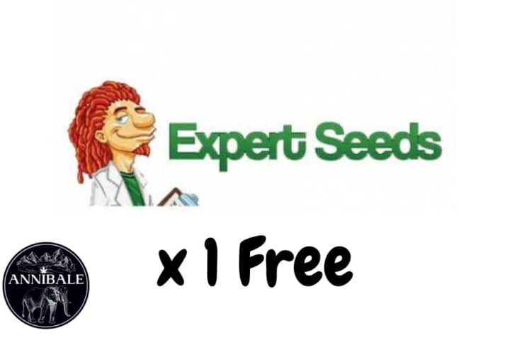 Expert Seeds Free Seeds 2023
