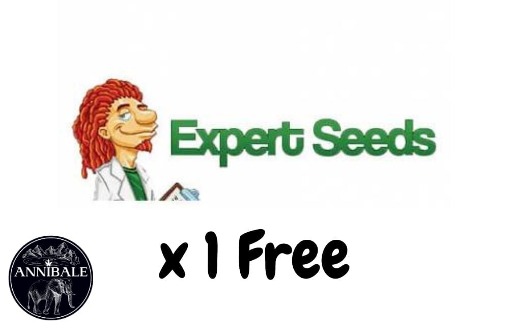 Expert Seeds Free Seeds 2023