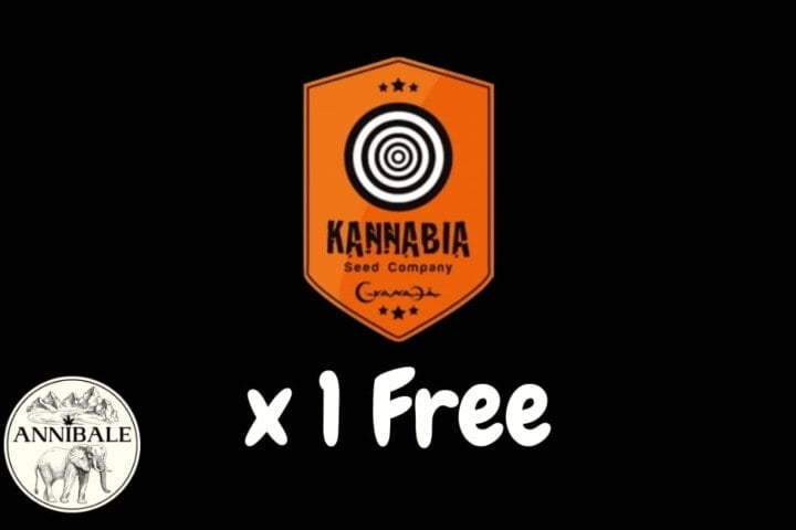 Kannabia Free Seeds 2023