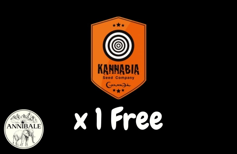 Kannabia Free Seeds 2023