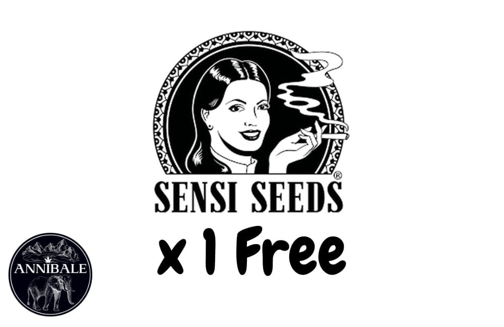 Sensi Seeds Free Seeds 2023