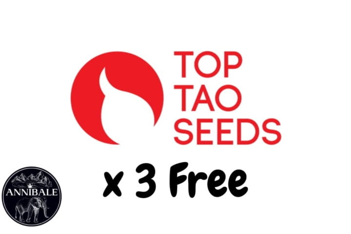 Top Tao Seeds Free Seeds 2023