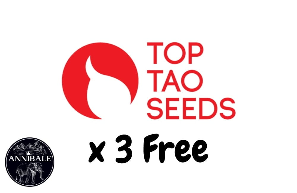 Top Tao Seeds Free Seeds 2023
