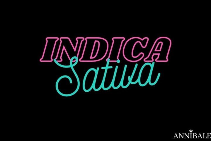 indica vs cativa cannabis differences