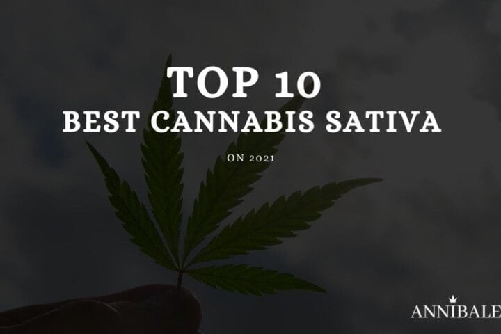 Top 10 Migliori semi di Cannabis Sativa 2021