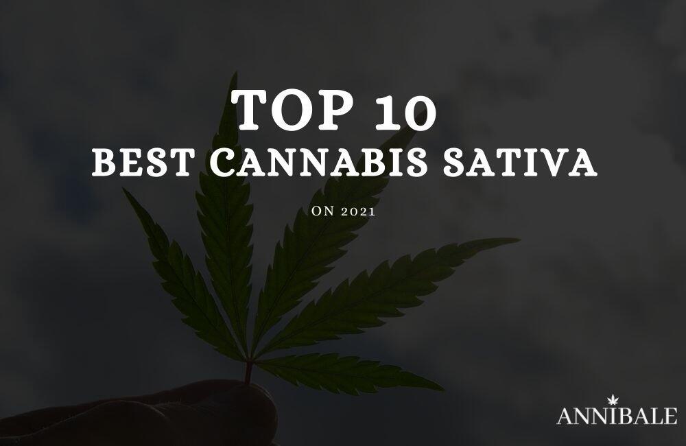 Top 10 Migliori semi di Cannabis Sativa 2021