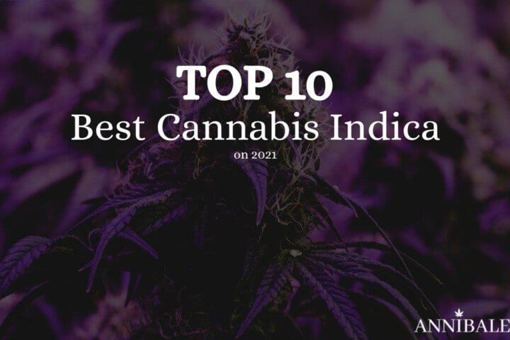 top 10 best cannabis indica seeds