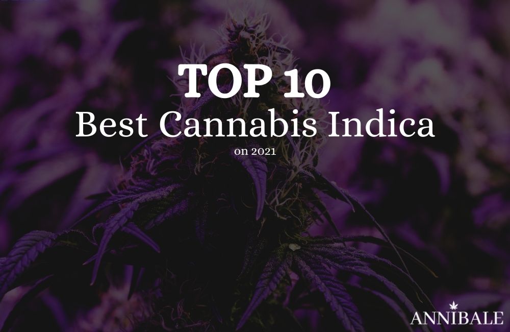 top 10 best cannabis indica seeds