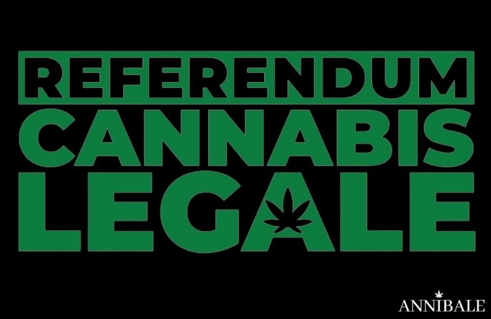 Legalizzazione Cannabis Italia 2022 (11)
