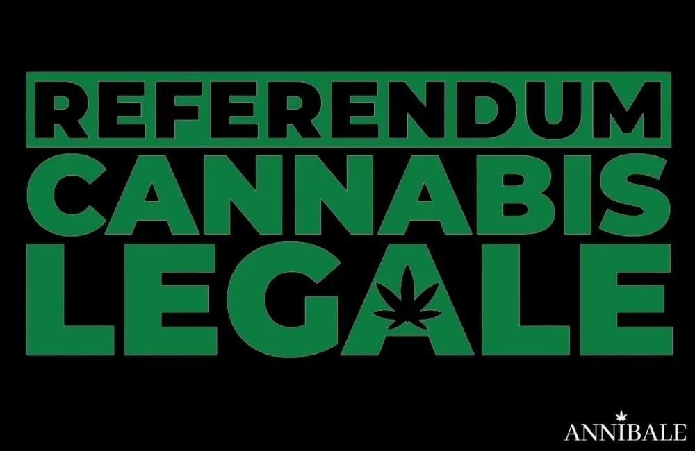 Legalizzazione Cannabis Italia 2022 (11)