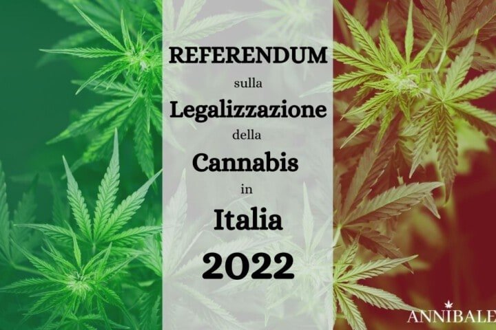 Legalizzazione Cannabis Italia 2022