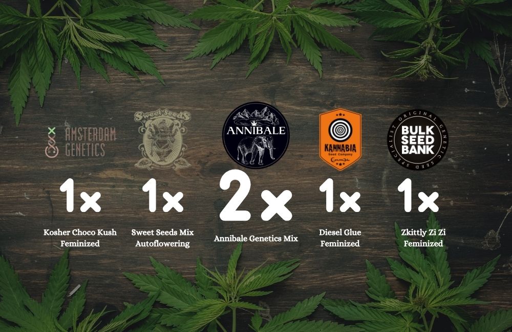 annibale seedshop promozione semi di cannabis amsterdam genetics home page