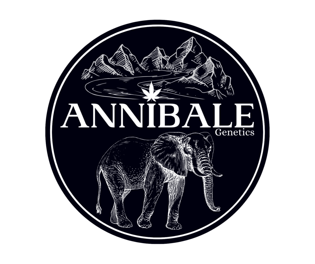 Annibale Genetics black logo