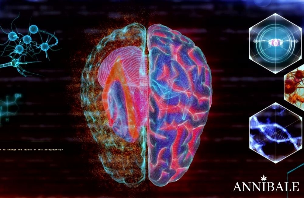 cannabis-effect-marijuana