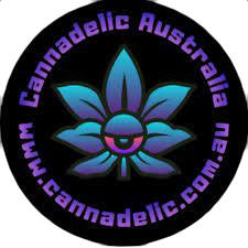 ANNIBALE SEEDSHOP