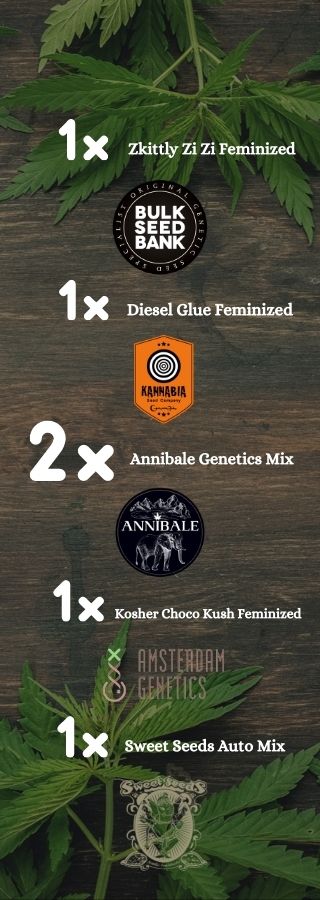 annibale seedshop promozione semi di cannabis amsterdam genetics home page
