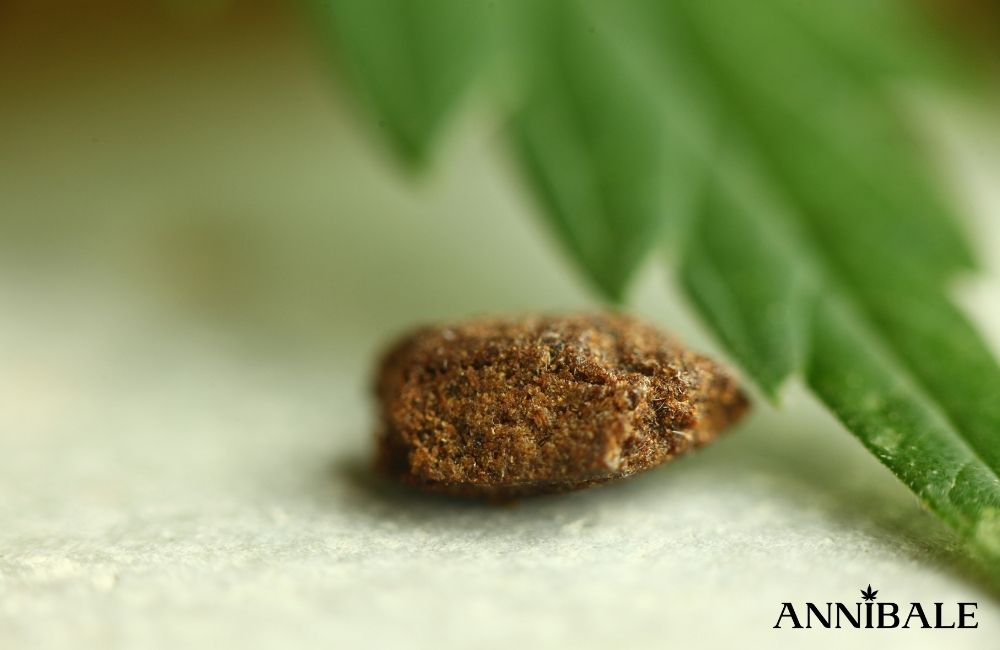 hashish-effetti-cannabis-marijuana