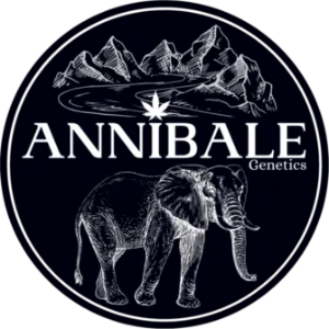 Annibale Genetics