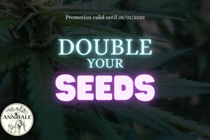 Promo raddoppia i semi cannabis Annibale Seedshop annibale genetics