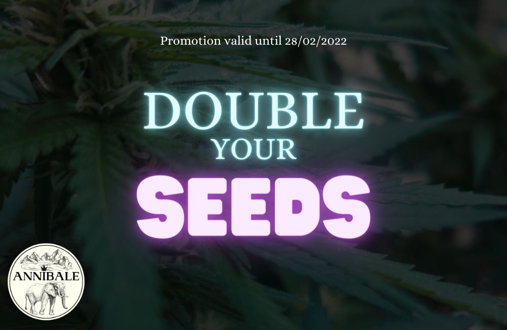 Promo raddoppia i semi cannabis Annibale Seedshop annibale genetics