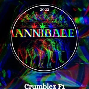 Crumblez F1 Annibale Genetics