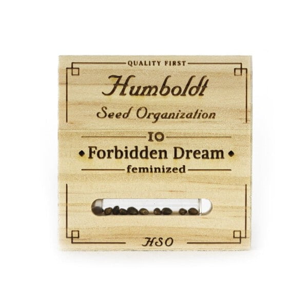 Forbidden Dream Femminizzata Humboldt Seeds 1