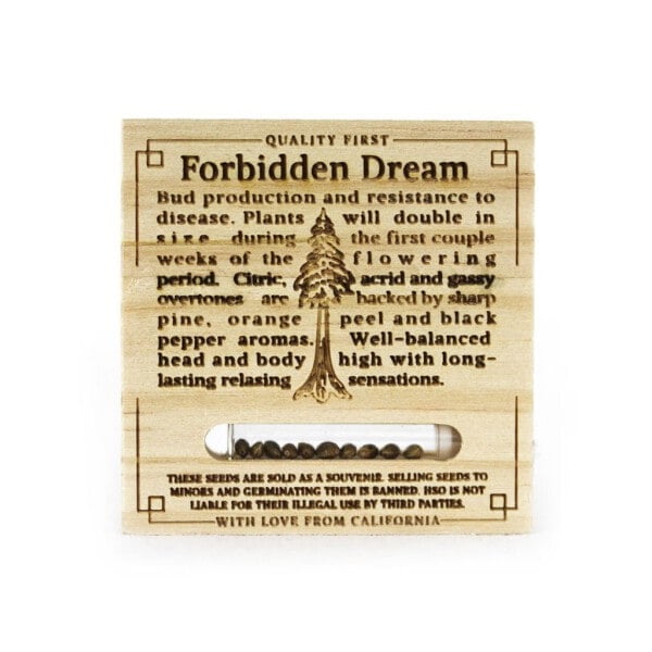 Forbidden Dream Femminizzata Humboldt Seeds