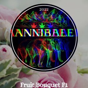 Fruit Bouquet F1 Annibale Genetics (1)
