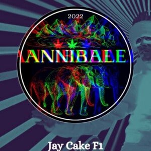 Jay Cake F1 Annibale Genetics