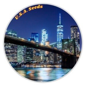 U.S.A. Cannabis Seeds