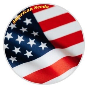 American Cannabis Seeds